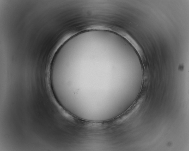 X0000102490909200809051319