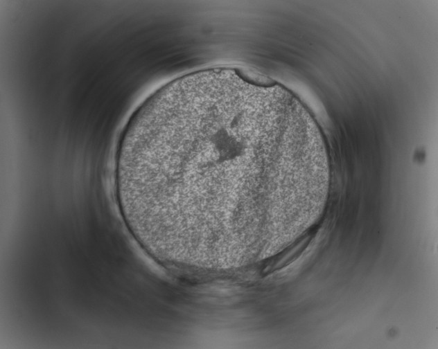 X0000102490910200809051319