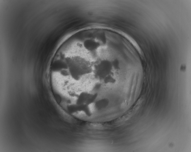 X0000102490911200809051319