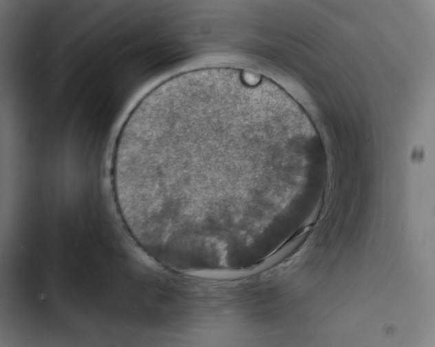 X0000102490912200809051319