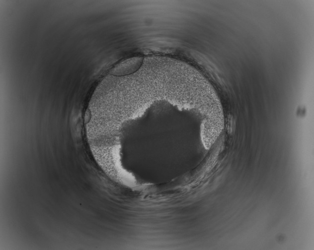 X0000102490915200809051318