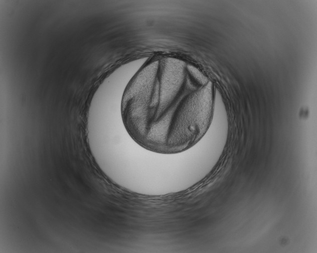 X0000102490916200809051318