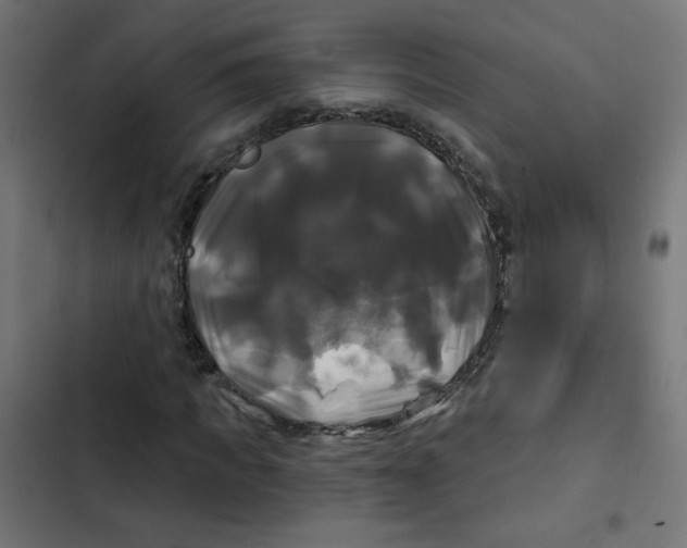 X0000102490917200809051318