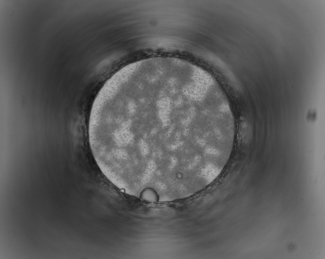 X0000102490918200809051318