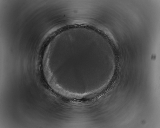 X0000102490920200809051318