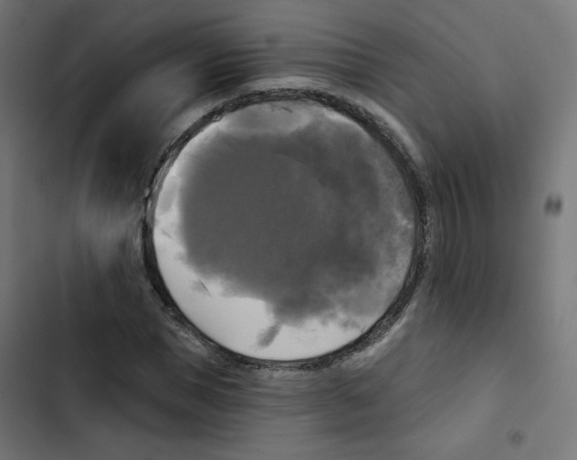 X0000102490921200809051318