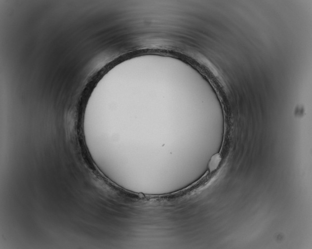 X0000102490922200809051318