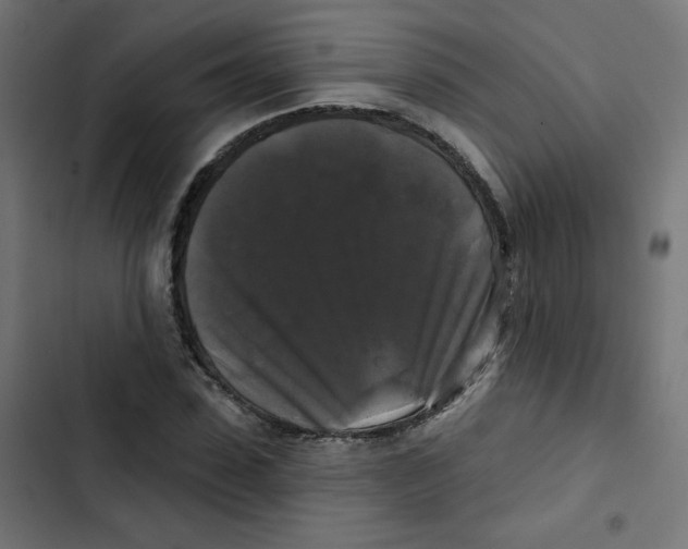 X0000102490923200809051318