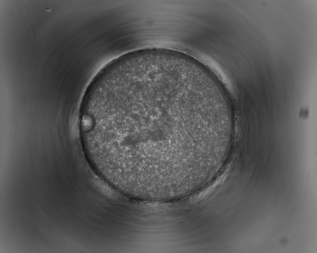 X0000102490924200809051318