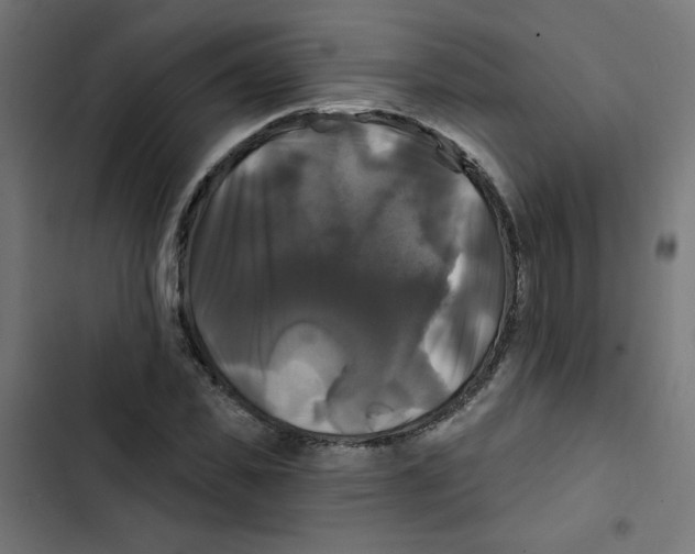 X0000102490925200809051318