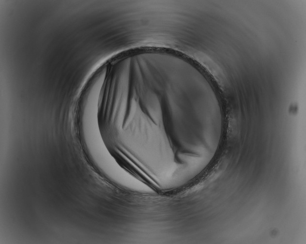 X0000102490926200809051318