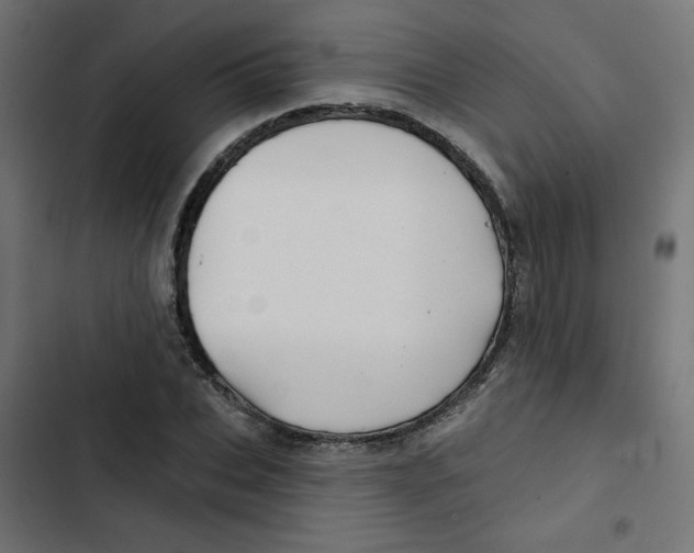 X0000102490927200809051318