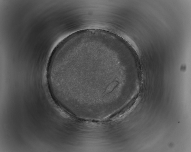 X0000102490928200809051318