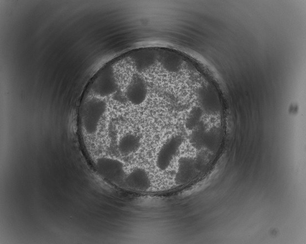 X0000102490929200809051318