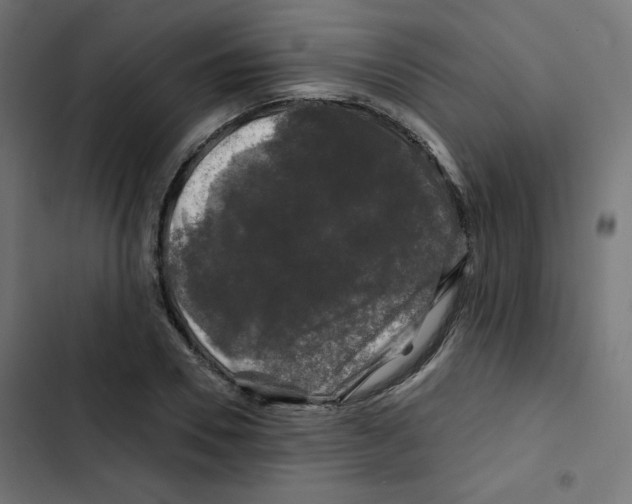 X0000102490930200809051318