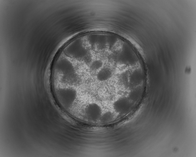 X0000102490933200809051319