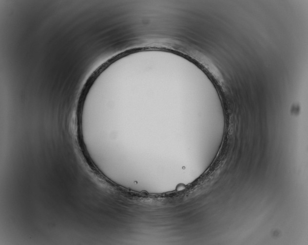 X0000102490936200809051319