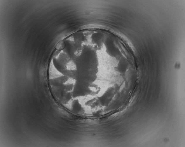 X0000102490937200809051319