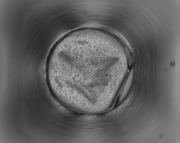 X0000102490939200809051319