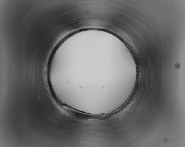 X0000102490942200809051319