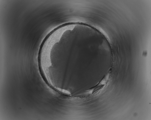 X0000102490943200809051319