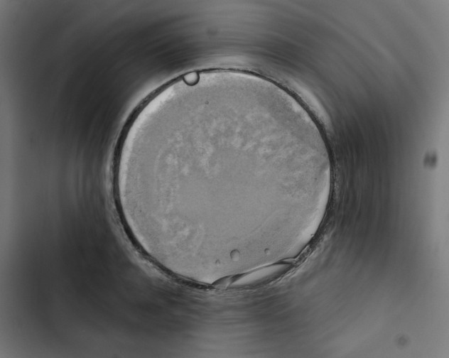 X0000102490944200809051319