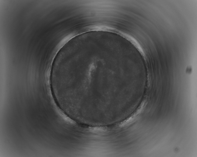 X0000102490946200809051319