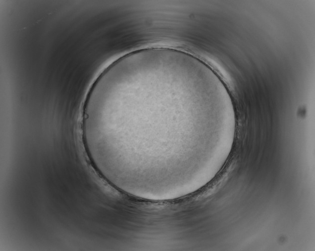 X0000102490948200809051319