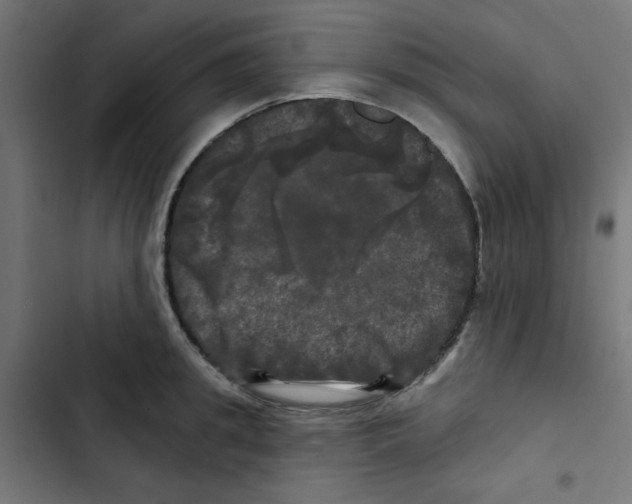 X0000102490949200809051319