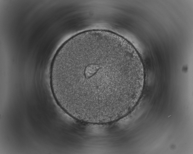 X0000102490950200809051319