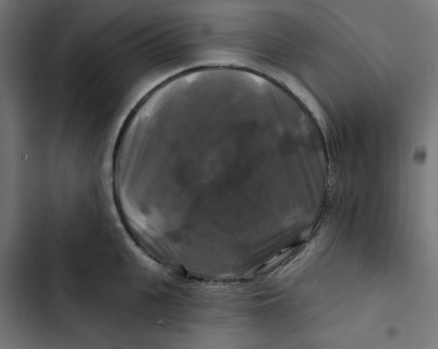 X0000102490951200809051319