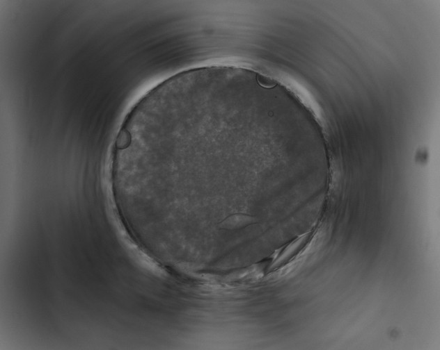 X0000102490952200809051319