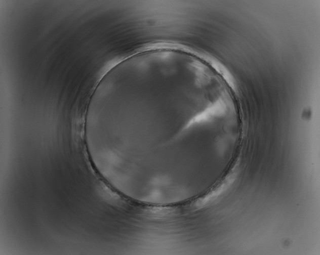 X0000102490953200809051319