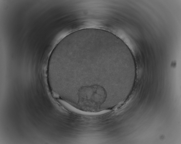 X0000102490954200809051319