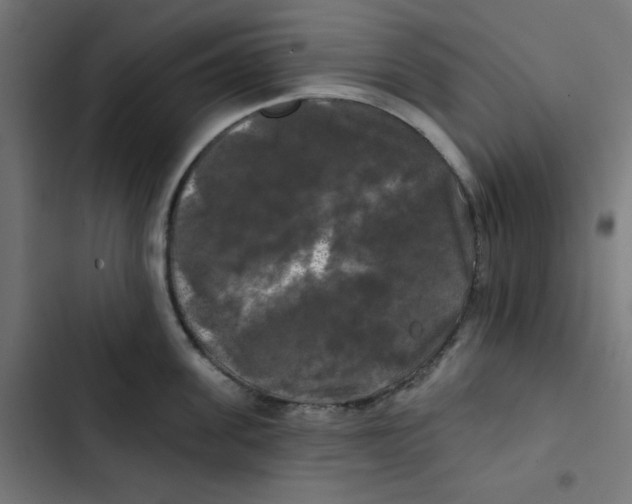 X0000102490955200809051319