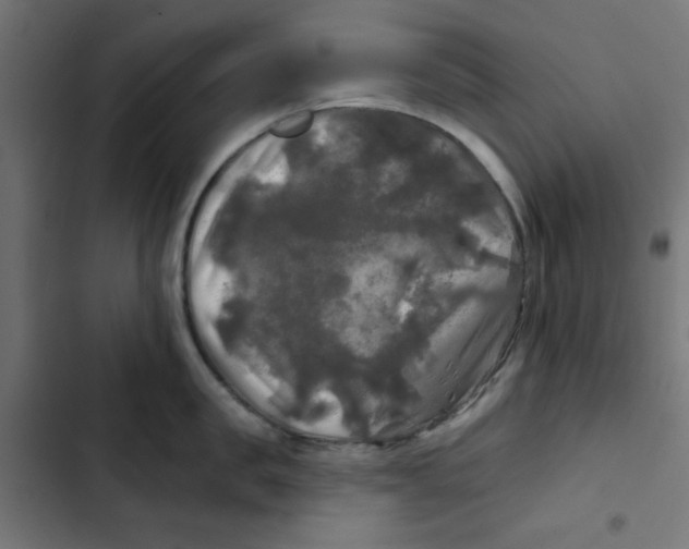 X0000102490957200809051319