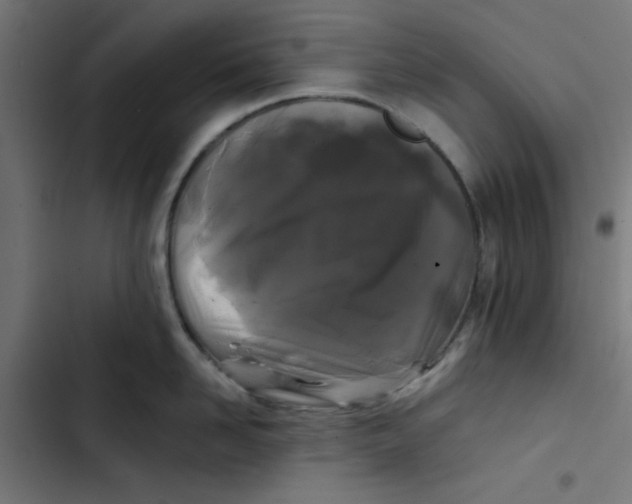 X0000102490958200809051319