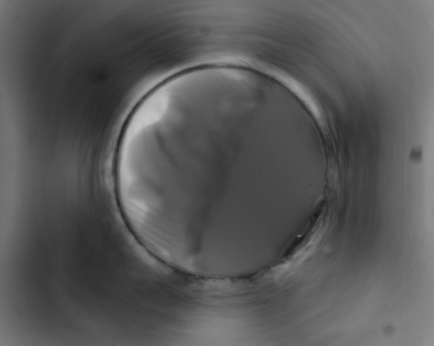 X0000102490959200809051319