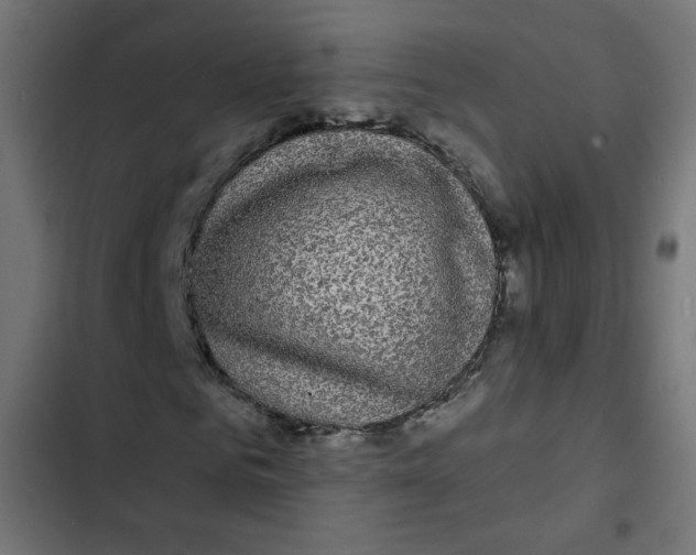 X0000102490961200809051318