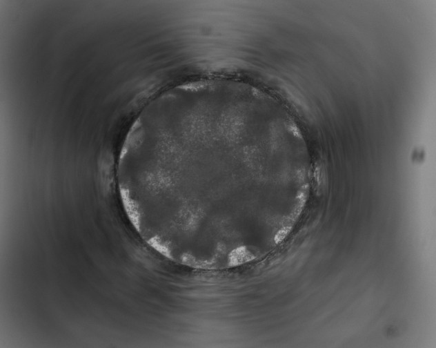 X0000102490963200809051318