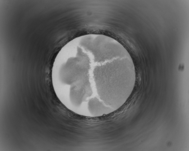 X0000102490964200809051318