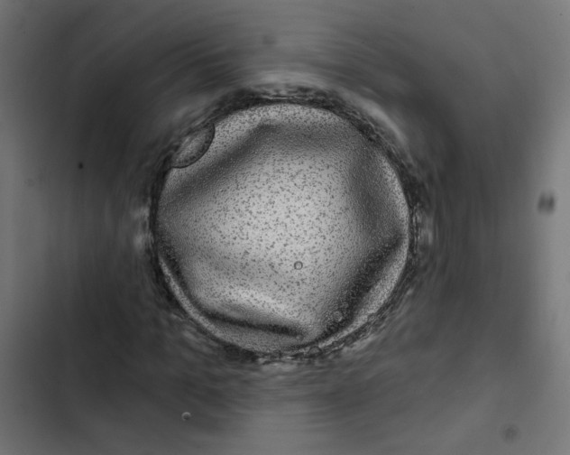 X0000102490965200809051318