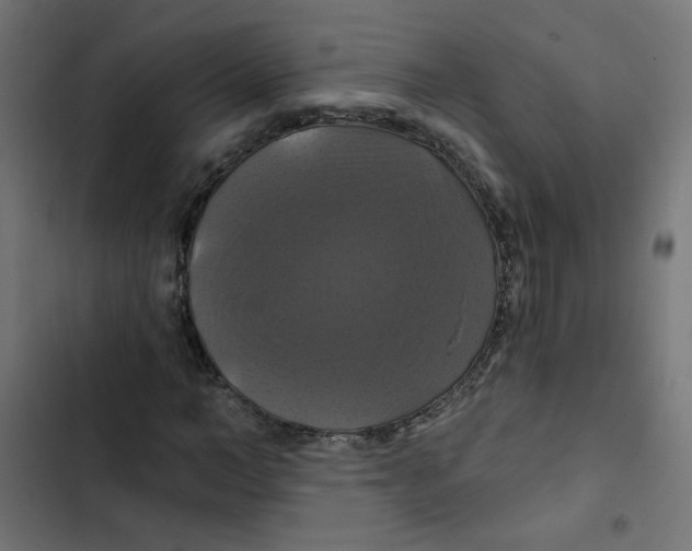 X0000102490966200809051318