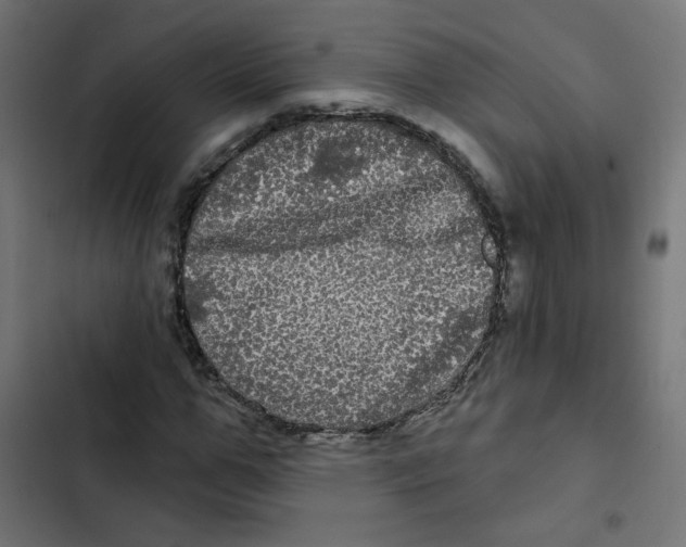 X0000102490967200809051318