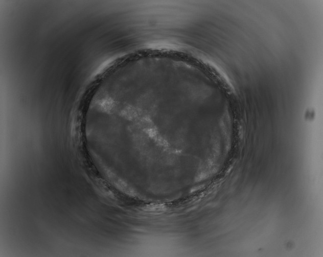 X0000102490968200809051318