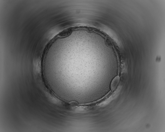 X0000102490969200809051318