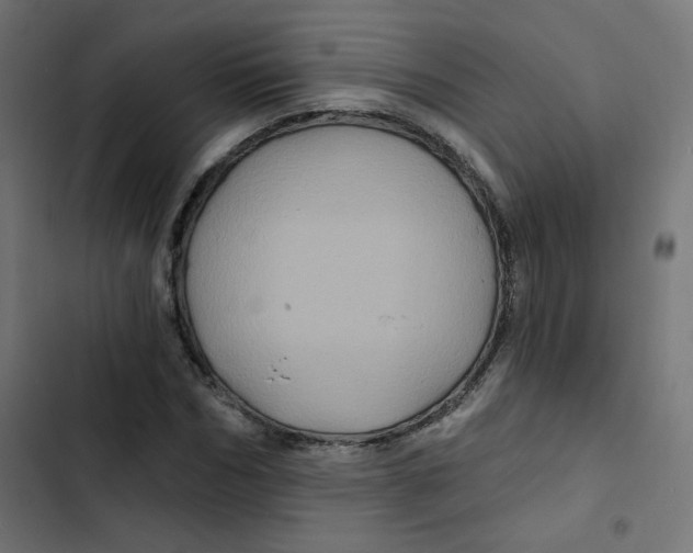 X0000102490970200809051318