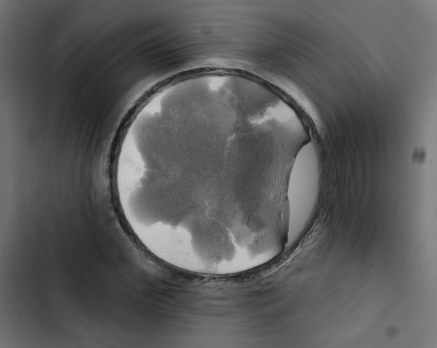 X0000102490972200809051318