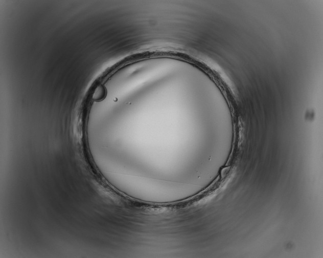 X0000102490973200809051318