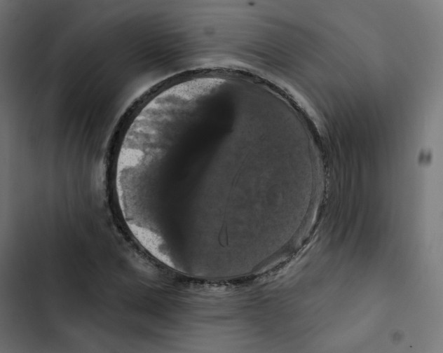 X0000102490975200809051318